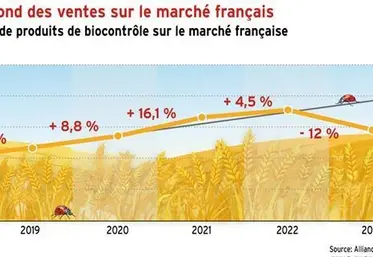 <em class="placeholder">Biocontrôle: rebond des ventes sur le marché français</em>