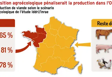 <em class="placeholder">Viande : la transition agroécologique pénaliserait la production dans l’Ouest</em>