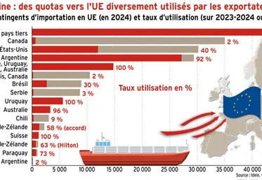 <em class="placeholder">Viande bovine : des quotas vers l’UE diversement utilisés par les exportateurs</em>