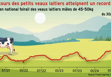<em class="placeholder">Les cours des petits veaux laitiers atteignent un record à 319 €</em>