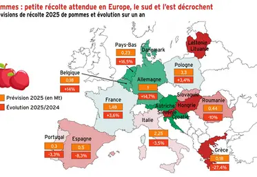 <em class="placeholder">Pommes : petite récolte attendue en Europe, le sud et l’est décrochent</em>