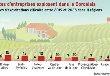 <em class="placeholder">Vin : les défaillances d’entreprises explosent dans le Bordelais</em>