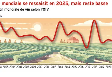 <em class="placeholder">Vin : la production mondiale se ressaisit en 2025, mais reste basse</em>