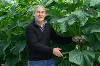 Fruits et légumes : Jean-Pierre La Noë nouveau président de l’AOPn Tomates de France