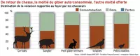 De retour de chasse, la moitié du gibier auto-consommée, l’autre moitié offerte