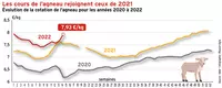 À la veille de Pâques, un marché de l’agneau dans l’expectative