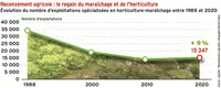 Recensement agricole : le regain du maraîchage et de l’horticulture