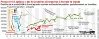 Productivité agricole : des trajectoires divergentes à travers le monde