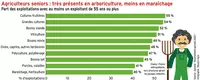 Exploitants seniors : plus courants en arboriculture qu’en maraîchage