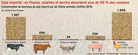 Soja importé : en France, volailles et bovins absorbent plus de 90 % des volumes