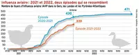 Influenza aviaire : 2021 et 2022, deux épisodes qui se ressemblent