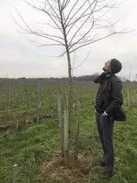 Dans le Bordelais, l’agroforesterie attend une réglementation plus claire