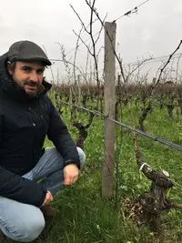 Dans le Bordelais, l’agroforesterie attend une réglementation plus claire