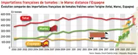 Importations françaises de tomates : le Maroc distance l’Espagne