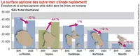 La surface agricole des outre-mer s’érode rapidement