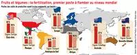 Fruits et légumes : la fertilisation, premier poste à flamber au niveau mondial