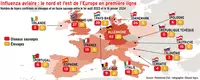 Influenza aviaire : le nord et l’est de l’Europe en première ligne