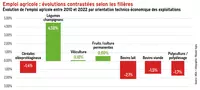 Emploi agricole : évolutions contrastées selon les filières