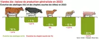 Viandes bio : baisse de production généralisée en 2023