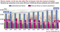 Bovins viande : en dix ans, des aides Pac en hausse, mais des revenus en baisse