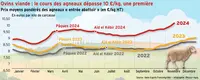 <em class="placeholder">Ovins viande : le cours des agneaux dépasse 10 €/kg, une première</em>