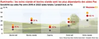 <em class="placeholder">Ruminants : les ovins viande et bovins viande sont les plus dépendants des aides Pac</em>