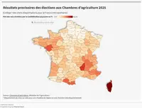 <em class="placeholder">Élections chambres : la carte syndicale redessinée</em>