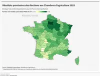 <em class="placeholder">Élections chambres : la carte syndicale redessinée</em>