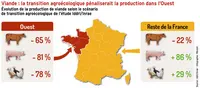 <em class="placeholder">Viande : la transition agroécologique pénaliserait la production dans l’Ouest</em> <em class="placeholder">Viande : la transition agroécologique pénaliserait la production dans l’Ouest</em>