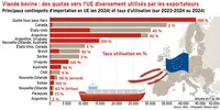 <em class="placeholder">Viande bovine : des quotas vers l’UE diversement utilisés par les exportateurs</em> <em class="placeholder">Viande bovine : des quotas vers l’UE diversement utilisés par les exportateurs</em>