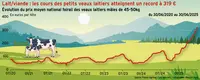 <em class="placeholder">Les cours des petits veaux laitiers atteignent un record à 319 €</em> <em class="placeholder">Les cours des petits veaux laitiers atteignent un record à 319 €</em>