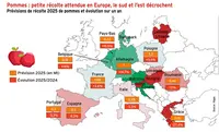 <em class="placeholder">Pommes : petite récolte attendue en Europe, le sud et l’est décrochent</em>