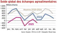 <em class="placeholder">Balance commerciale : anatomie d’une chute</em> <em class="placeholder">Balance commerciale : anatomie d’une chute</em>