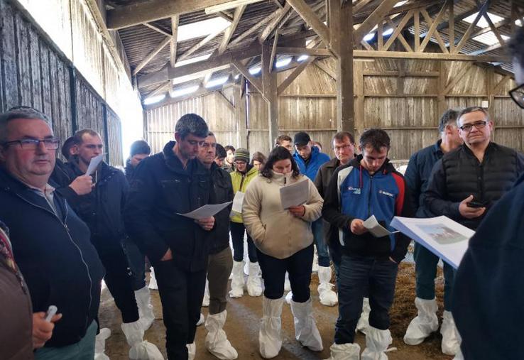 Les éleveurs membres du syndicat des éleveurs Montbéliard de la Mayenne lors de la visite au Gaec Vallée de la Jouanne.