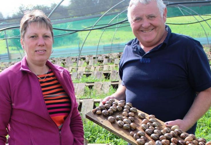 Christine Pichard et Jean-Claude Bernier, éleveurs d’escargots à Marcillé-le-Ville.
