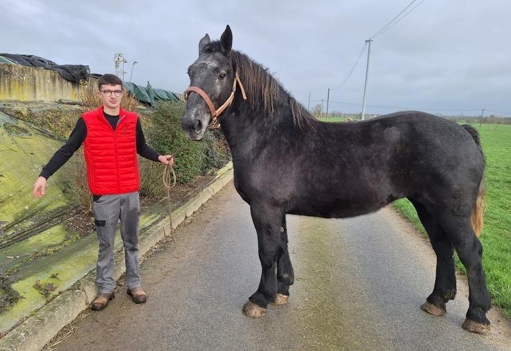 Baptiste Vallée, 17 ans, présentera Noblesse de la Noë, une pouliche de 3 ans, au SIA. Il participera également au concours de jeunes pointeurs en filière équine.