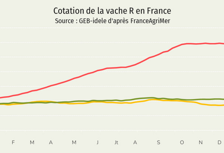 La cotation de la vache R a encore gagné 8 centimes sur les deux premières semaines de l'année, pour atteindre 7,59 €/kg de carcasse en semaine 3 (+ 35 % /2025).
