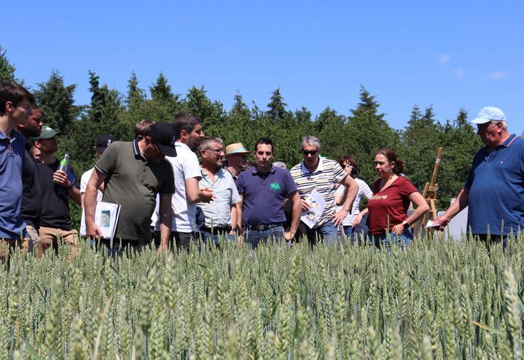 Jeudi 21 mai, de 14h à 17h, plusieurs ateliers, consacrés à la gestion des adventices dans les rotations, se sont enchaînés sur la plateforme expérimentale de Saint-Fort dans le cadre d'une rencontre technique organisée par la Chambre d'agriculture.