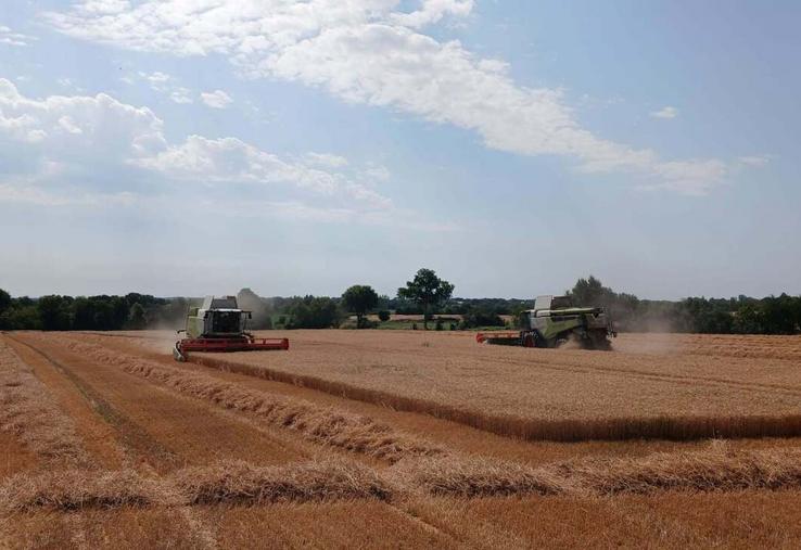 "Avec deux machines dans le champ, ça va tout de suite plus vite", commente David Cadet, qui a fait appel à l'entreprise Agrimaine et à ses salariés pour réaliser ses moissons.