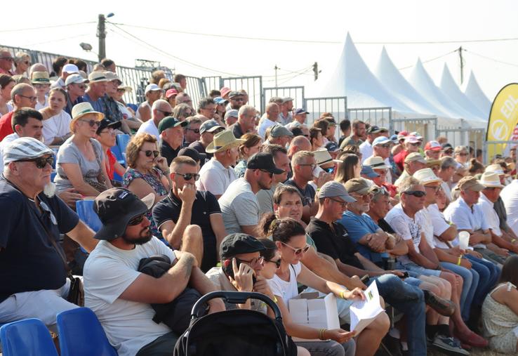 Samedi 18 juillet, en fin de journée et une fois les concours régionaux ou départementaux terminés, les spectateurs ont pris place dans les gradins du Cima 53 pour assister à la toute première vente de reproducteurs. 