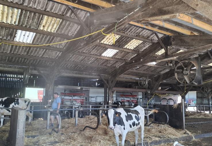 En urgence, les frères Trémeau ont acheté des tuyaux et récupéré un ancien pulvé afin d'arroser les vaches en bâtiment.