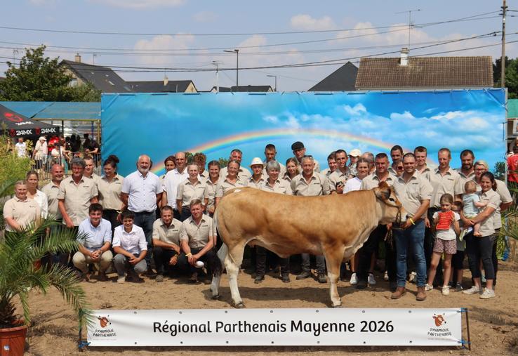 Les éleveurs Parthenais à l'honneur pour leur concours régional, devant un public de passionnés. La race Normande a elle aussi animé le week-end.