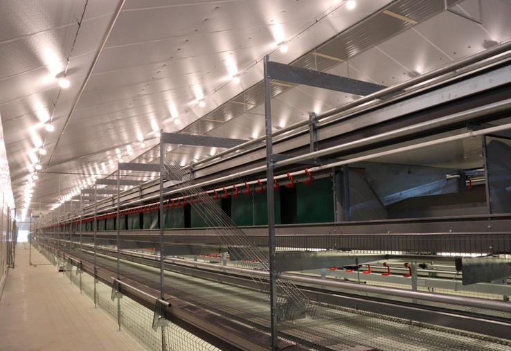 Selon le cahier des charges "bien-être animal" de Noréa, les poulettes sont élevées en volière (photo prise avant l'arrivée des poules). Les œufs sont ensuite envoyés sur le tapis (à droite) avant d'être mis en palette par Fabien Durand, le gérant.
