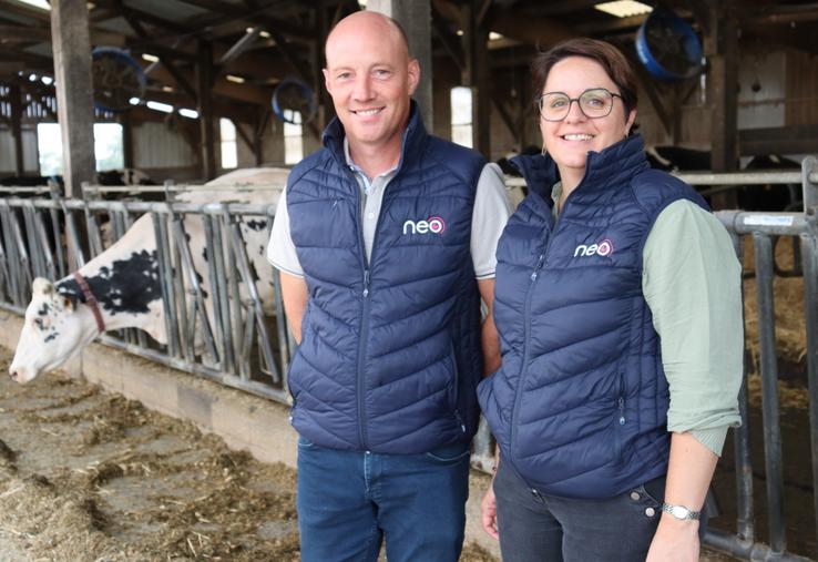 Depuis un peu plus d'un an, Cédric et Laetitia Houdmond, éleveurs laitiers à Cossé-le-Vivien, utilisent la solution NEO de chez Innoval. Derrière eux, une de leurs vaches équipée du collier.
