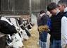 Après l'assemblée générale statutaire du matin à Ernée, les adhérents de l'association Prim'Holstein de la Mayenne ont pris la route de Saint-Pierre-des-Landes pour une visite de l'exploitation de Benoît Delacre.