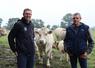 Jérôme Auffray (à gauche), éleveur à La Baconnière, et Stéphane Hervais, éleveur à Chémeré-le-Roi et président de l'association des éleveurs Charolais de la Mayenne.