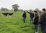 Dans les parcelles de Jérôme Cottereau à Saint-Germain-d'Anxure, les vaches pâturent presque tout au long de l'année. Une volonté de l'éleveur.