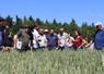 Jeudi 21 mai, de 14h à 17h, plusieurs ateliers, consacrés à la gestion des adventices dans les rotations, se sont enchaînés sur la plateforme expérimentale de Saint-Fort dans le cadre d'une rencontre technique organisée par la Chambre d'agriculture.