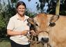 Chloé Gasté (16 ans), fille de Jérôme et Marion Gasté, éleveurs de Parthenaises à Saint-Ouën-des-Toits. Malgré sa passion pour l'agriculture, elle ne souhaite pas en faire son métier. "En revanche, je serai toujours présente pour aider mes parents dans les concours, quand je le pourrai", assure-t-elle.