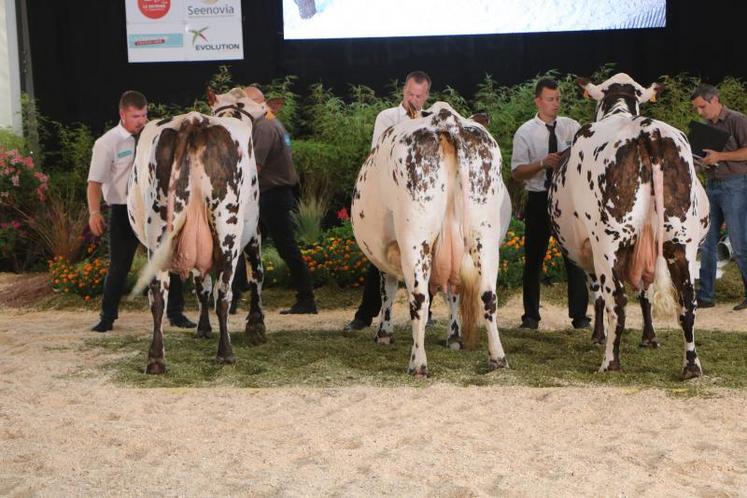 Lors du National Normand "May'National", l'été dernier à Mayenne, pendant le Cima 2019.